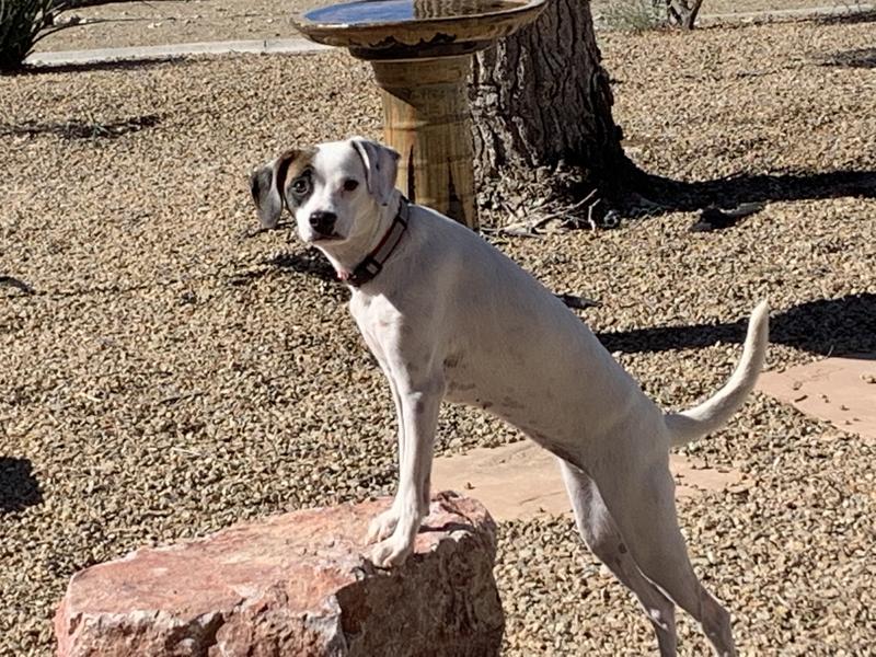 Always thinks she’s the boss.