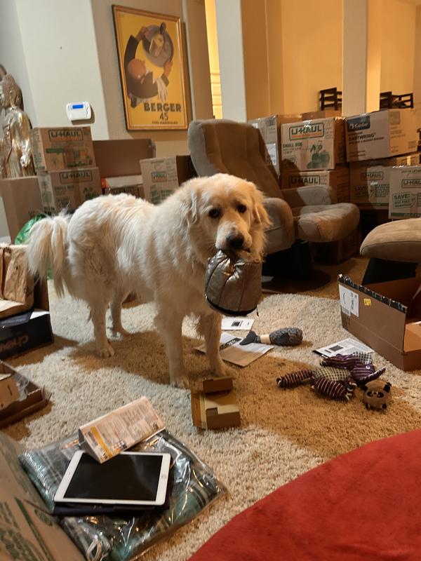 Daisy taking out the trash