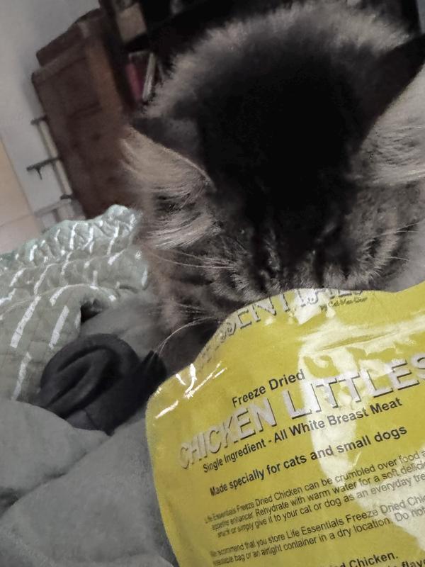 Ganesh trying to put his head in bag.