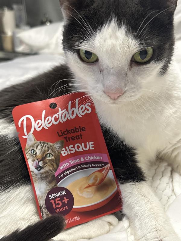 HARTZ Delectables Bisque Senior 15+ Tuna & Chicken Lickable Cat Treat ...