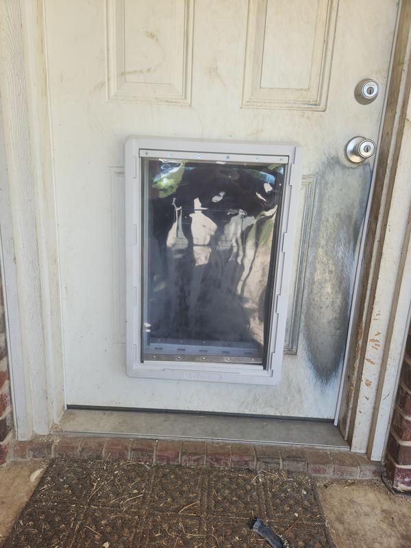 IDEAL PET PRODUCTS Designer Series RuffWeather Pet Door, Tinted