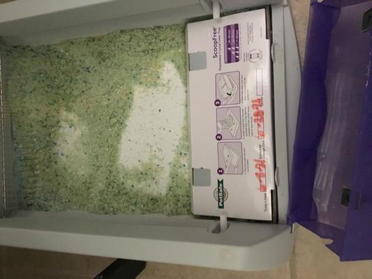PETSAFE ScoopFree Crystal Pro Self Cleaning Litter Box Chewy