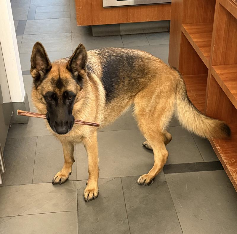 She loves to carry it around before eating it