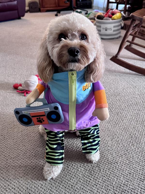 “I Wanna Dance with Somebody”