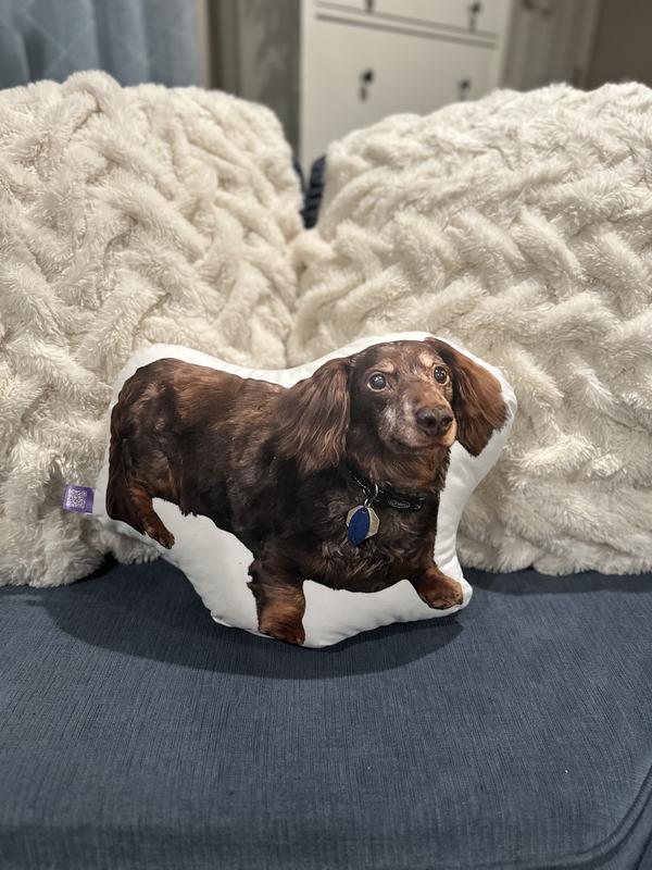 Pillow of our beloved dog, Reese