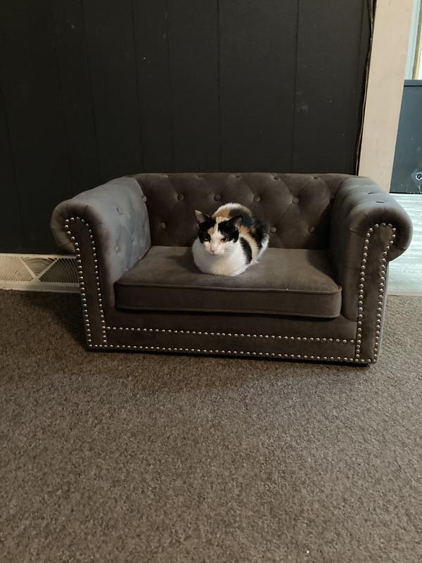 4 different size cat. Cool top hole for exit if they want to use it.