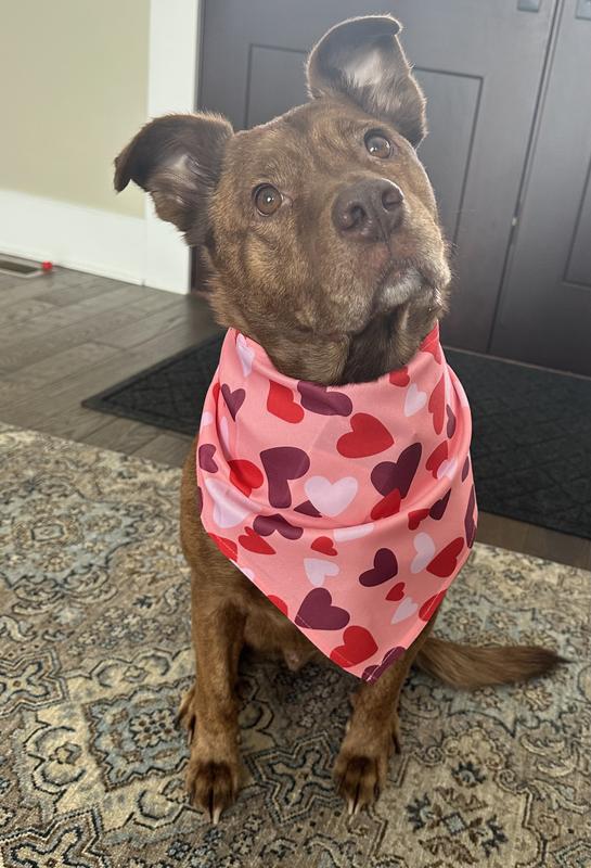 This bandana makes a cute pup even more adorable
