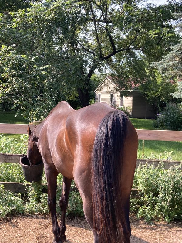 He can't be bothered while he's chowing down on "Tough to Beet"!