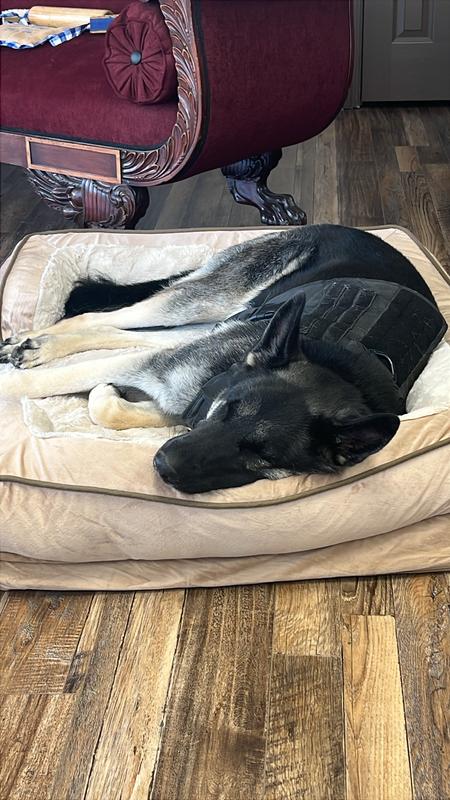 FurHaven Velvet Waves Perfect Comfort Orthopedic Sofa Cat & Dog Bed