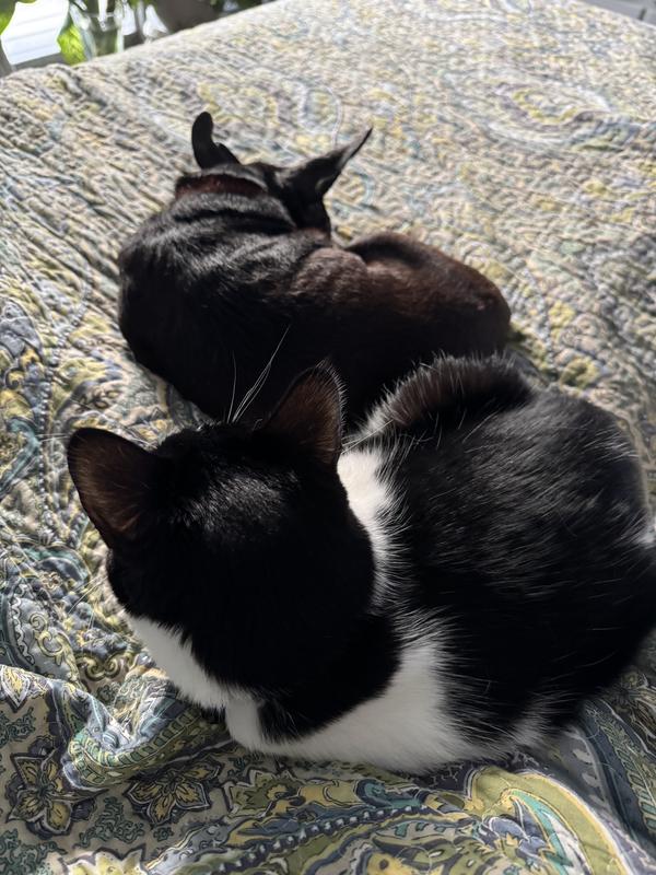 Tux &Bennie wish you the BEST!!