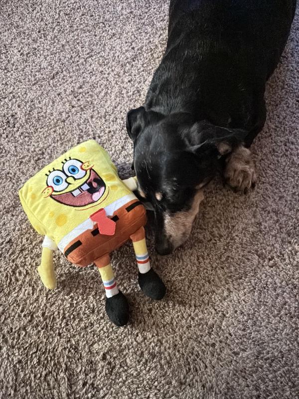 Rougie and Spingebob