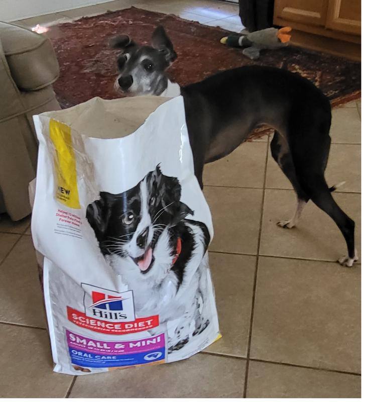 HILL'S SCIENCE DIET Oral Care Small & Mini Chicken Recipe Adult Dry Dog