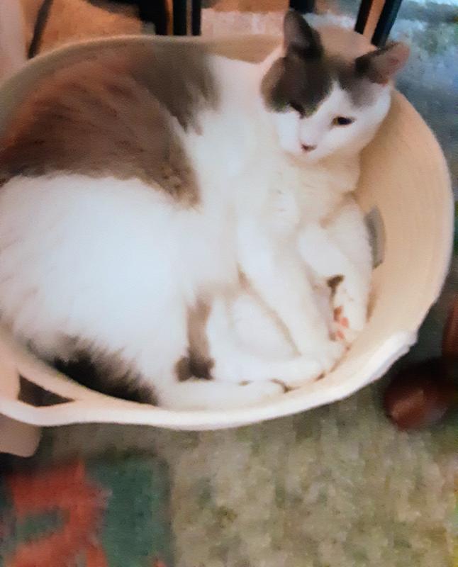 Max-approved!