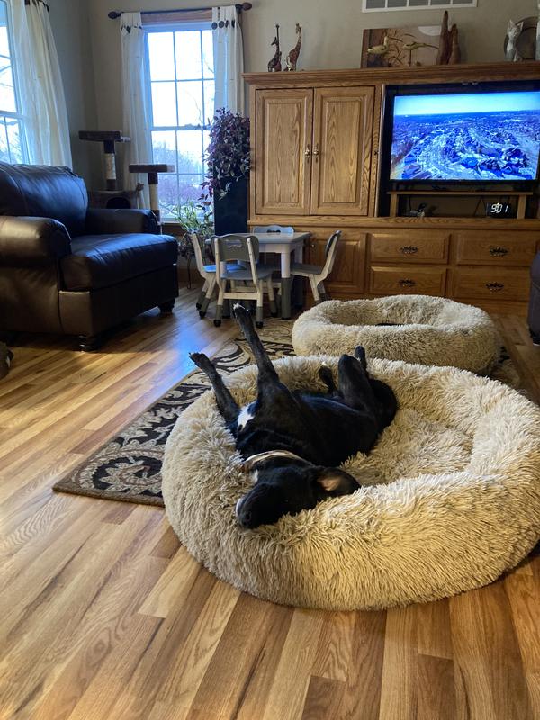 We are exhausted after a hard day of play with our two legged friends!