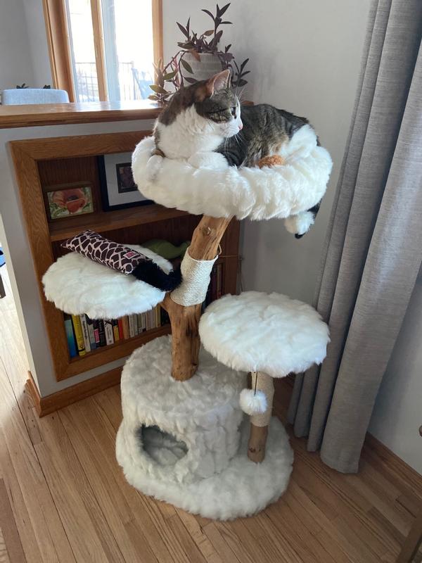 FRISCO Natural Wood Modern Cat Tree with Toy, Ivory, Large