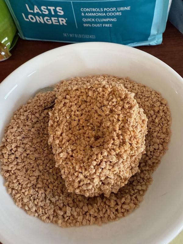 A clump formed from 1/4 cup of water added to the bowl, then lifted
