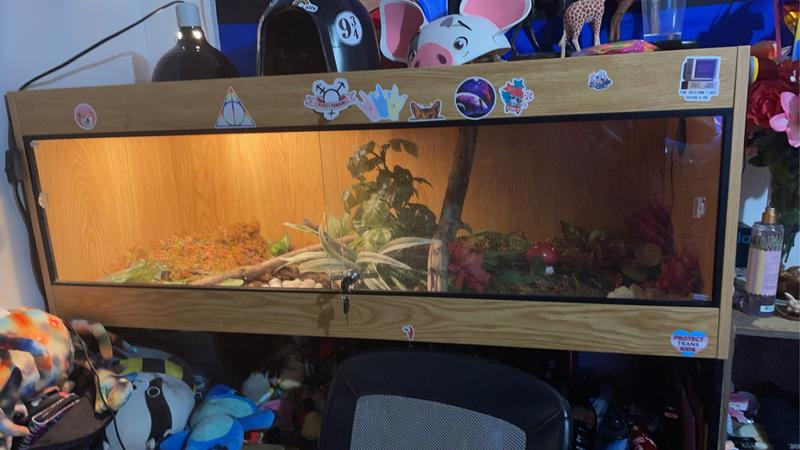 Not for humid needing reptiles