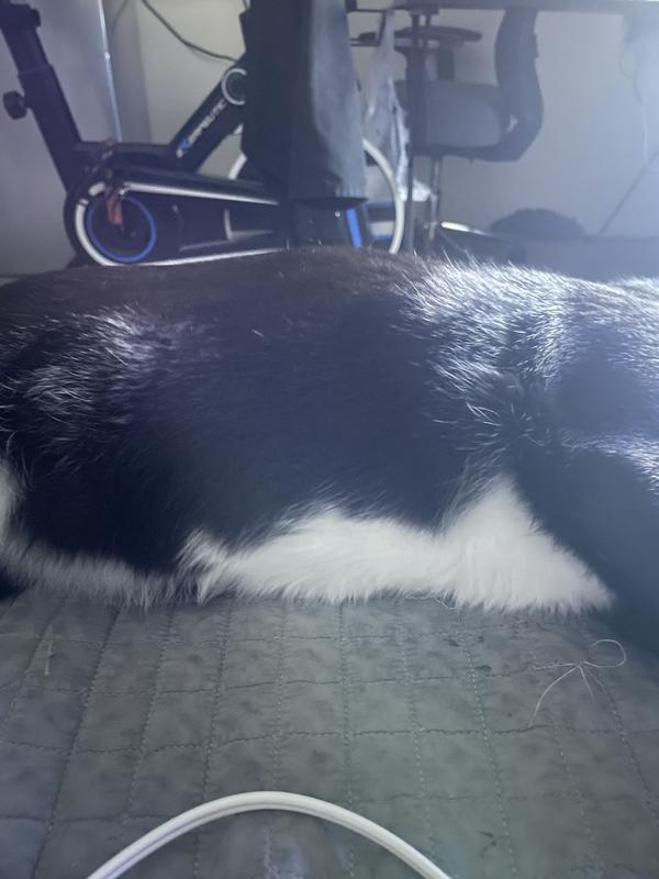 Fluffy and flake free