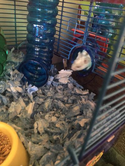 enjoying her new climbing tubes