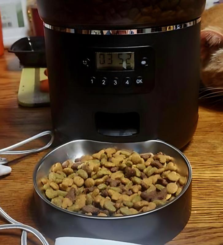 A Game-Changer for Our Furry Family