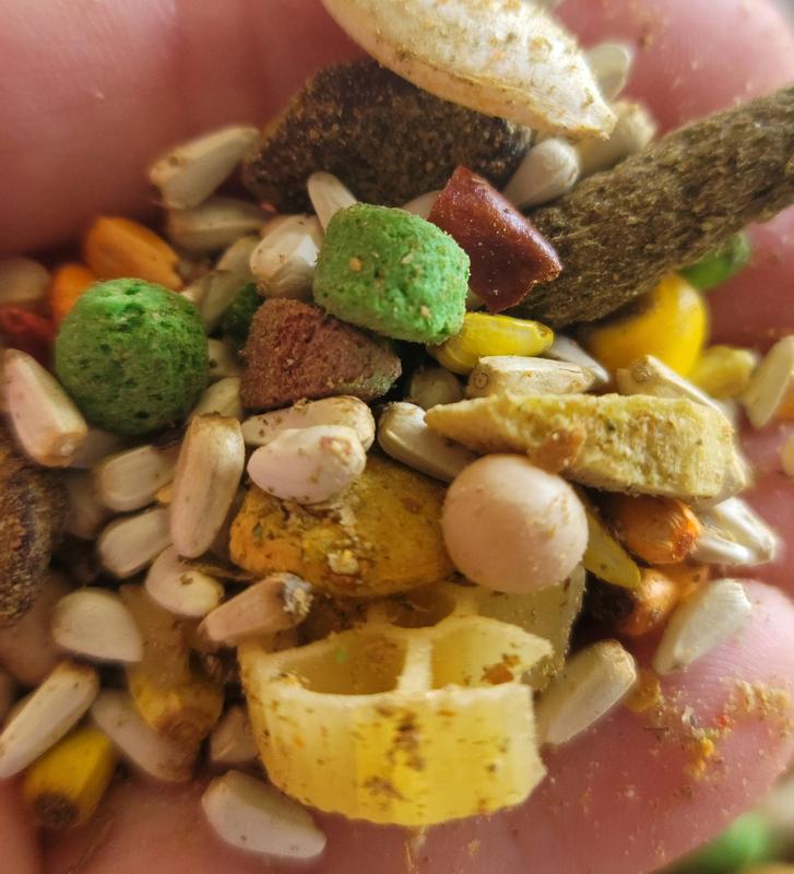 Too small for a large hook bill