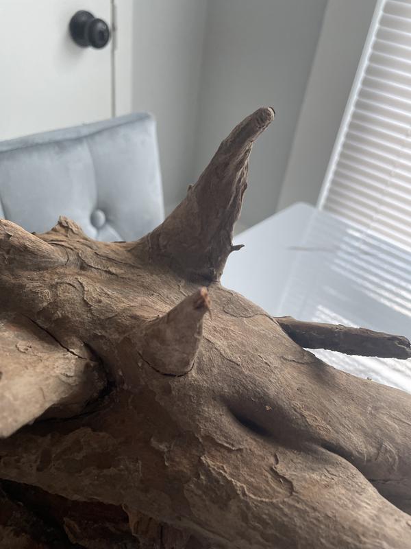 My son is going to help me file the very pointing areas