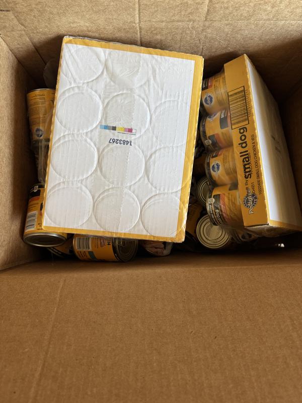 Bent up cans of dog food due to big box and no packing inside.  Careless!!