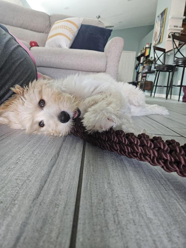 Winnie with Harry Potter Brum