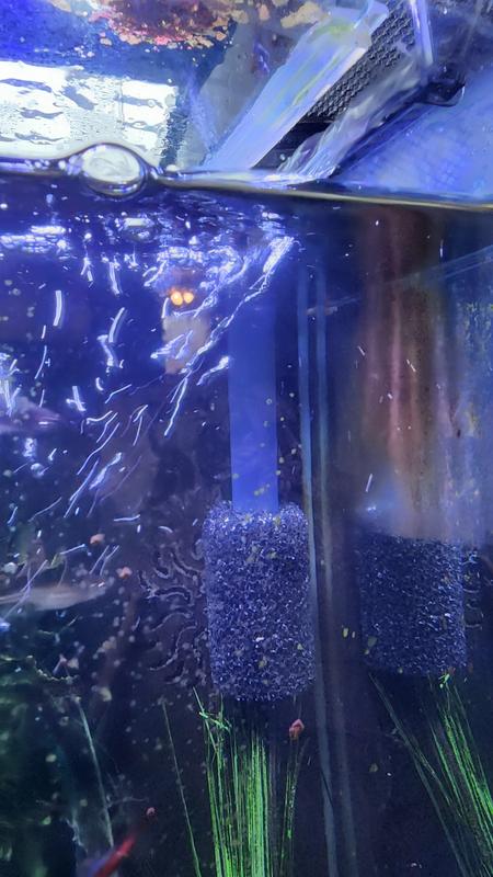 Water flows through well