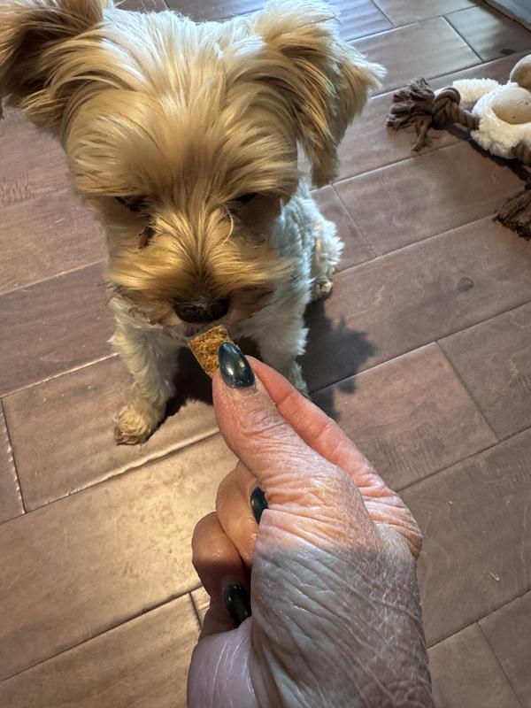 Maddux giving it a sniff