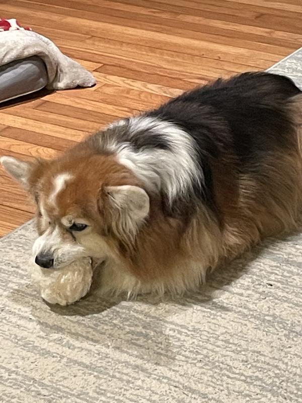 Eli with one of his many, many toys.