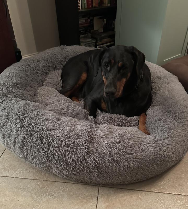 My baby girl loves this