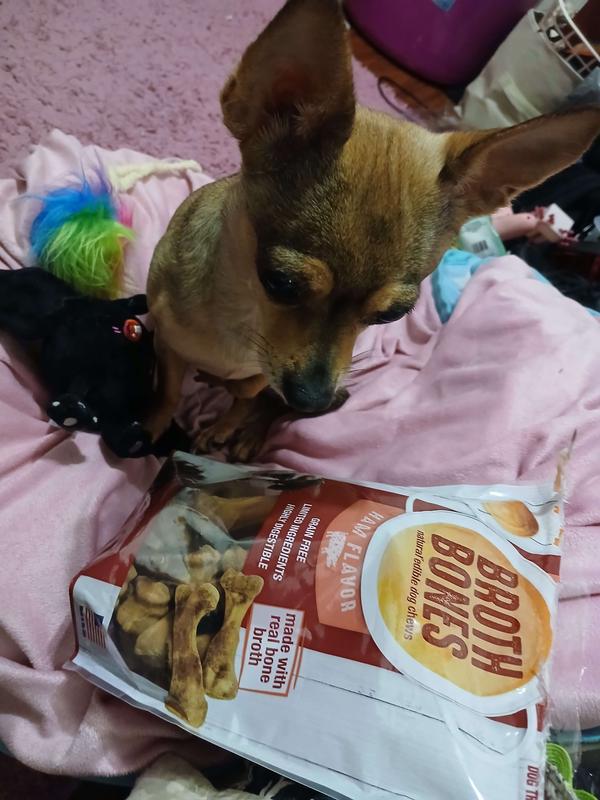 Bag being stared down like an eagle eyeing its prey, she had one before this. So let her stare be the judge of your opinion. :3