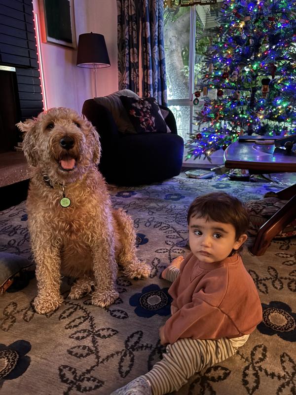 Tolerates the grandson.