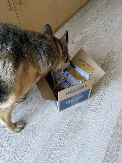 She loves getting her team dog treats from chewy.