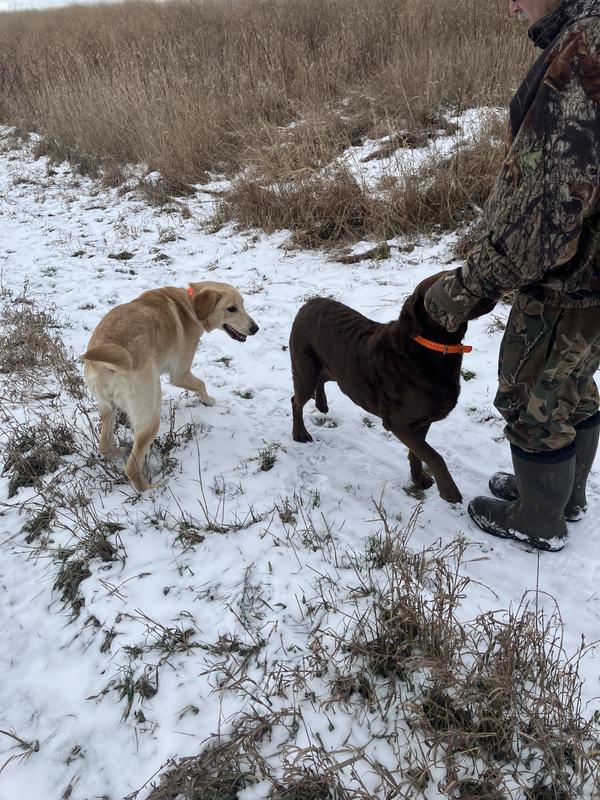 Walking state game area in MI
