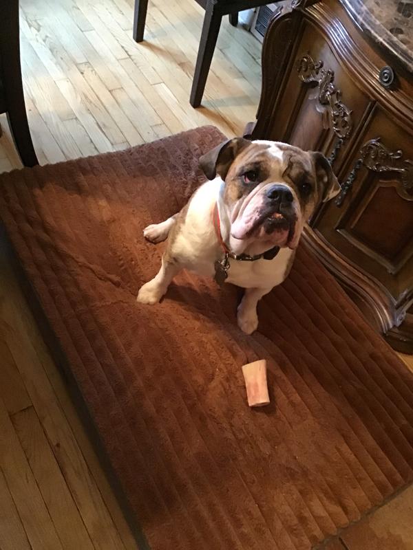 “So comfy I’d rather be on my bed than the couch!”