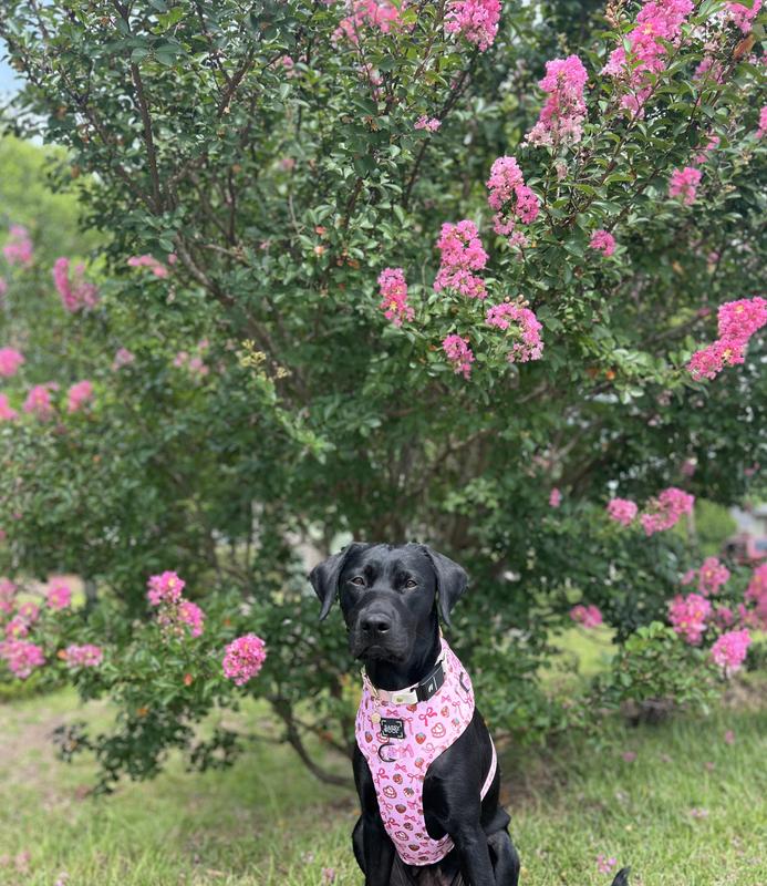 Obsessed with this pattern!