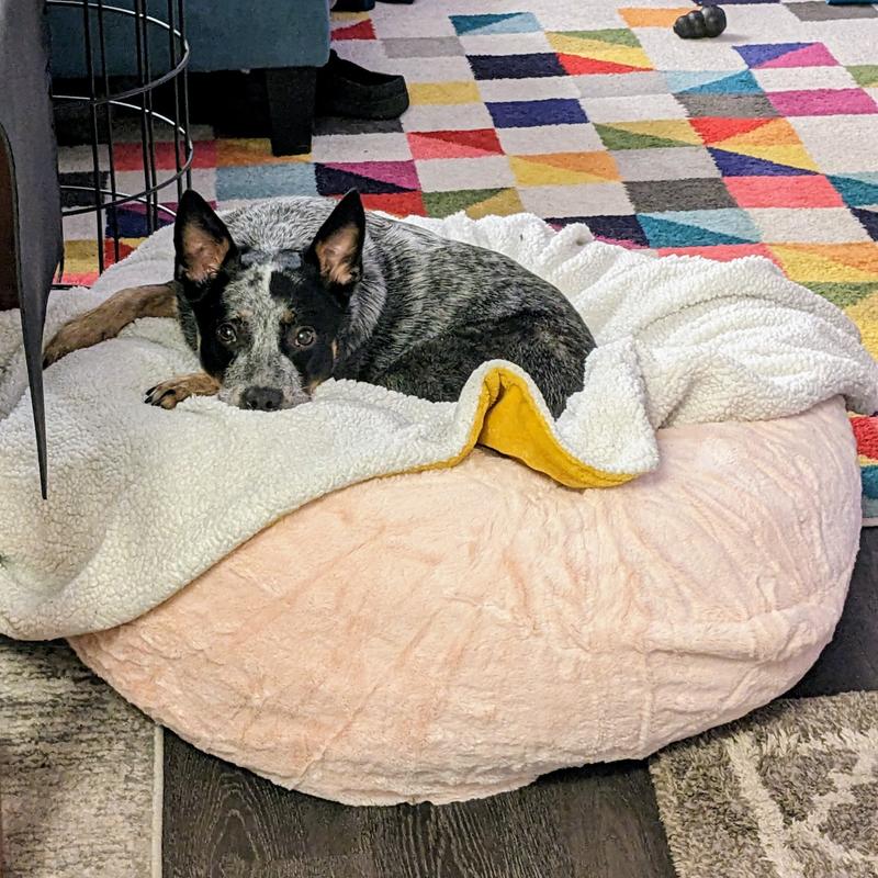 FURHAVEN Plush Ball Pillow Dog Bed w/Removable Cover, Espresso, Large