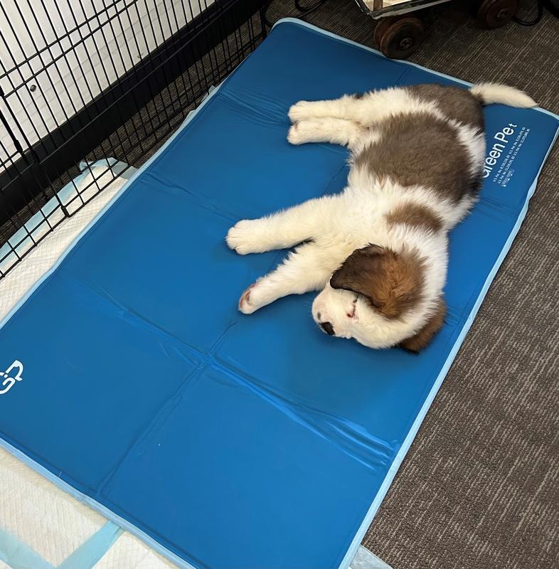 Chewy cooling outlet mat