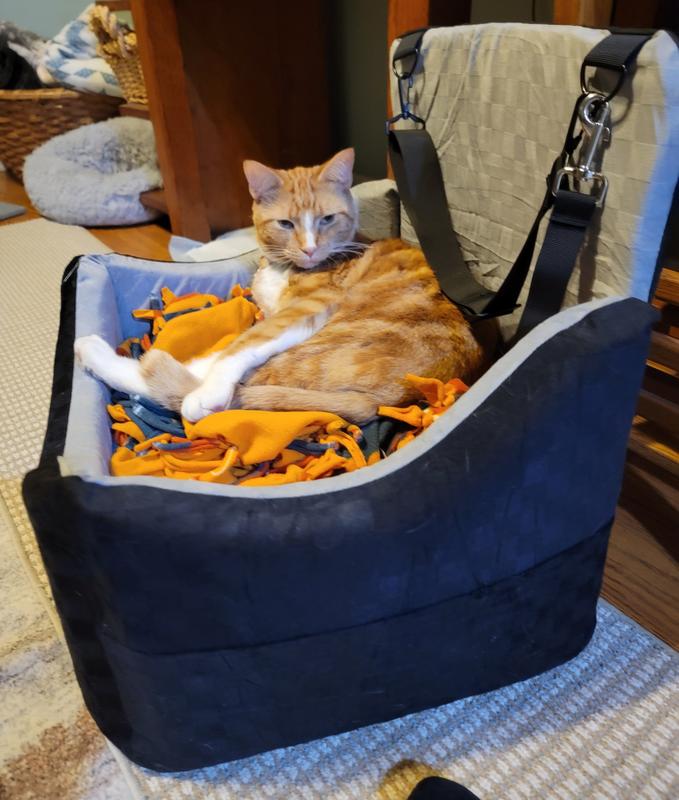 Easy to install. Super safe. Happy pets!