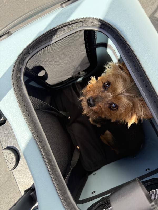 Nice in calm during our pit stop