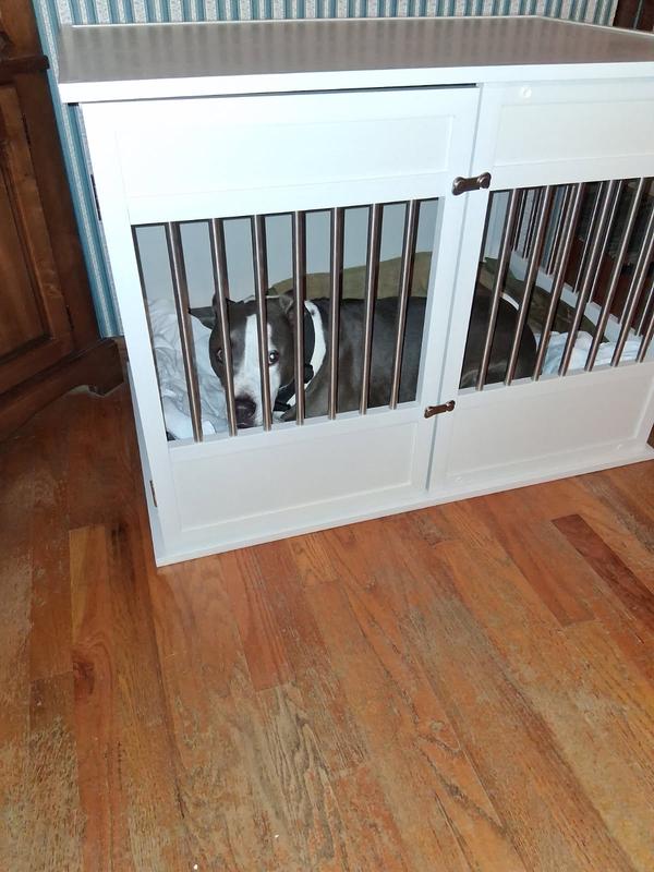 Zoey loves her new beddy-byes and sleeps sound all night