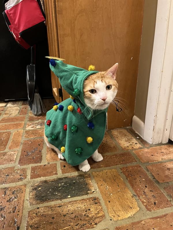 He’s a Christmas wizard!