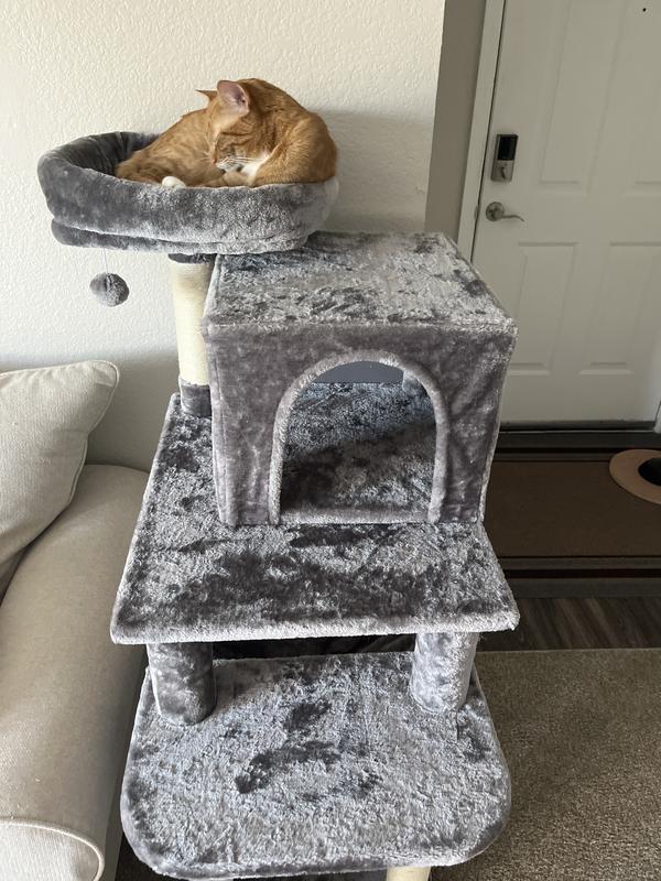 FRISCO 64in Cat Tree with Hammock, Condo, 2 Top Perches with Bed, Gray
