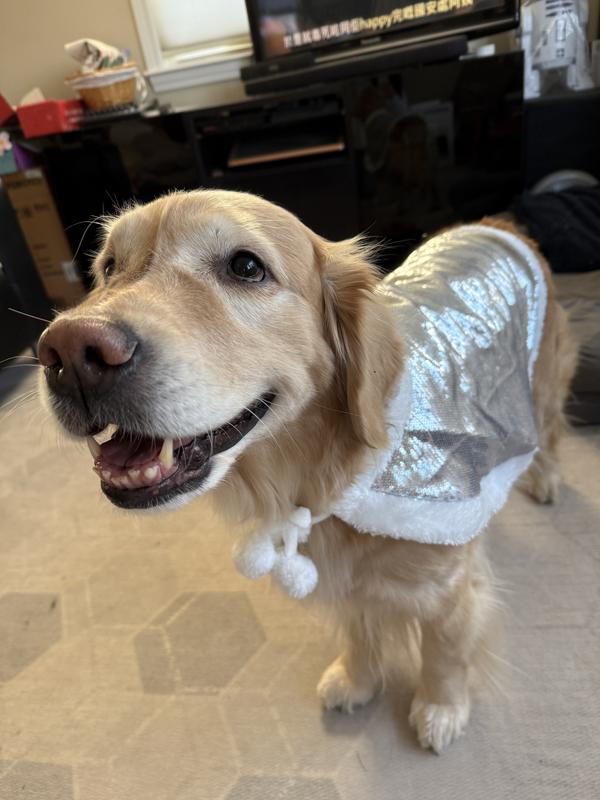 Reversible sequins cape!