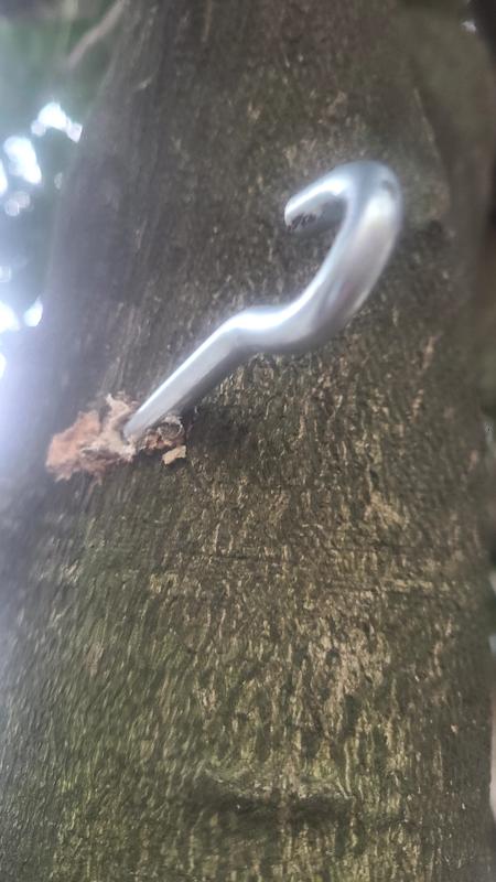 You can see where it's bent back flush against the tree