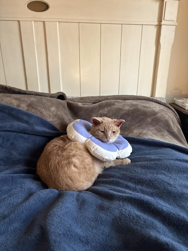 Sad boy turned Flower boi 🌸