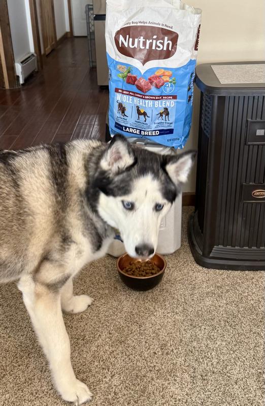 Rachael Ray Nutrish Large Breed Real Beef, Pea, Carrot & Brown Rice Recipe Whole Health Blend Dry Dog Food
