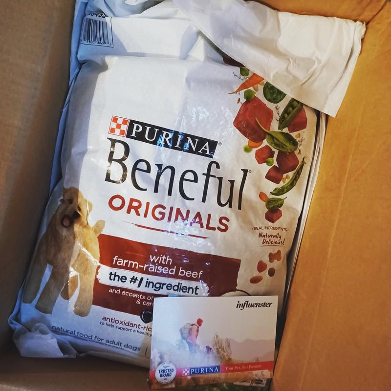 Purina beneful originals with real store beef reviews